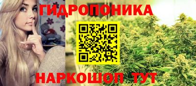 бошки Краснознаменск